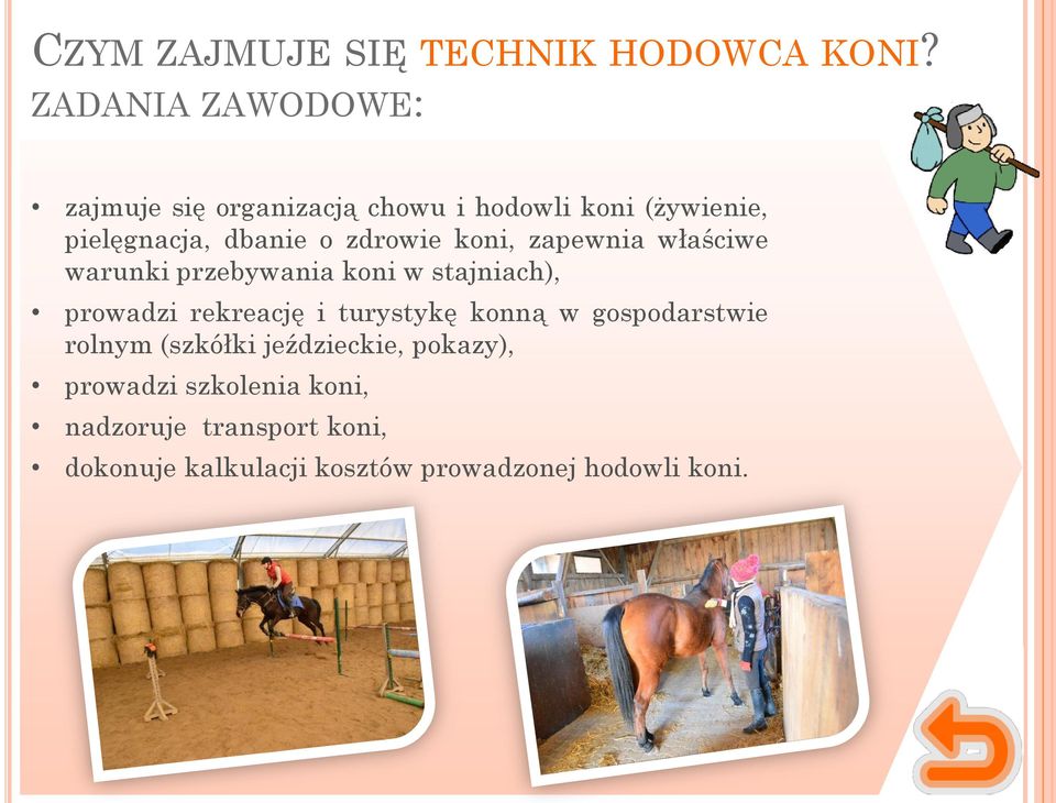 zdrowie koni, zapewnia właściwe warunki przebywania koni w stajniach), prowadzi rekreację i