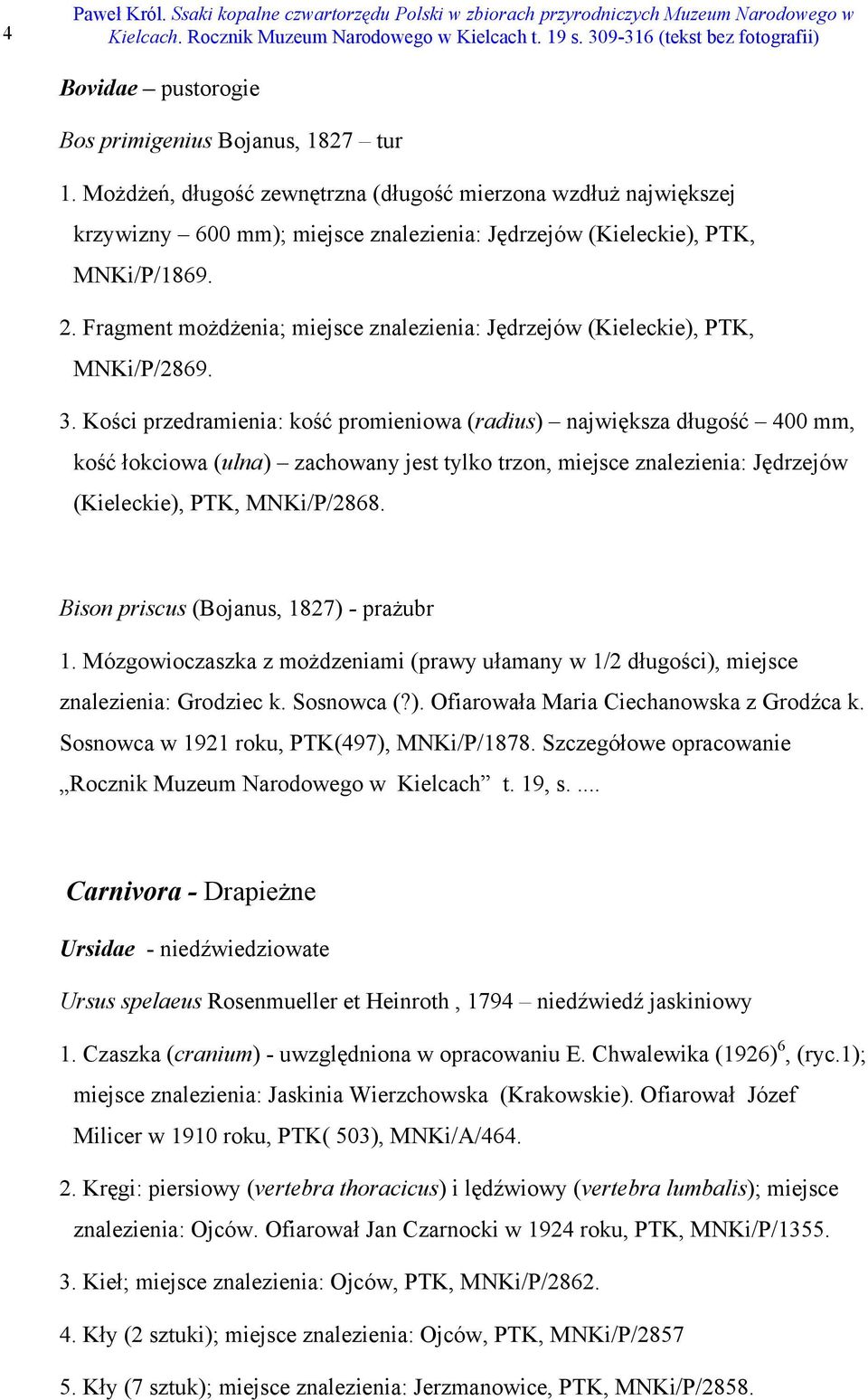 Fragment możdżenia; miejsce znalezienia: Jędrzejów (Kieleckie), PTK, MNKi/P/2869. 3.