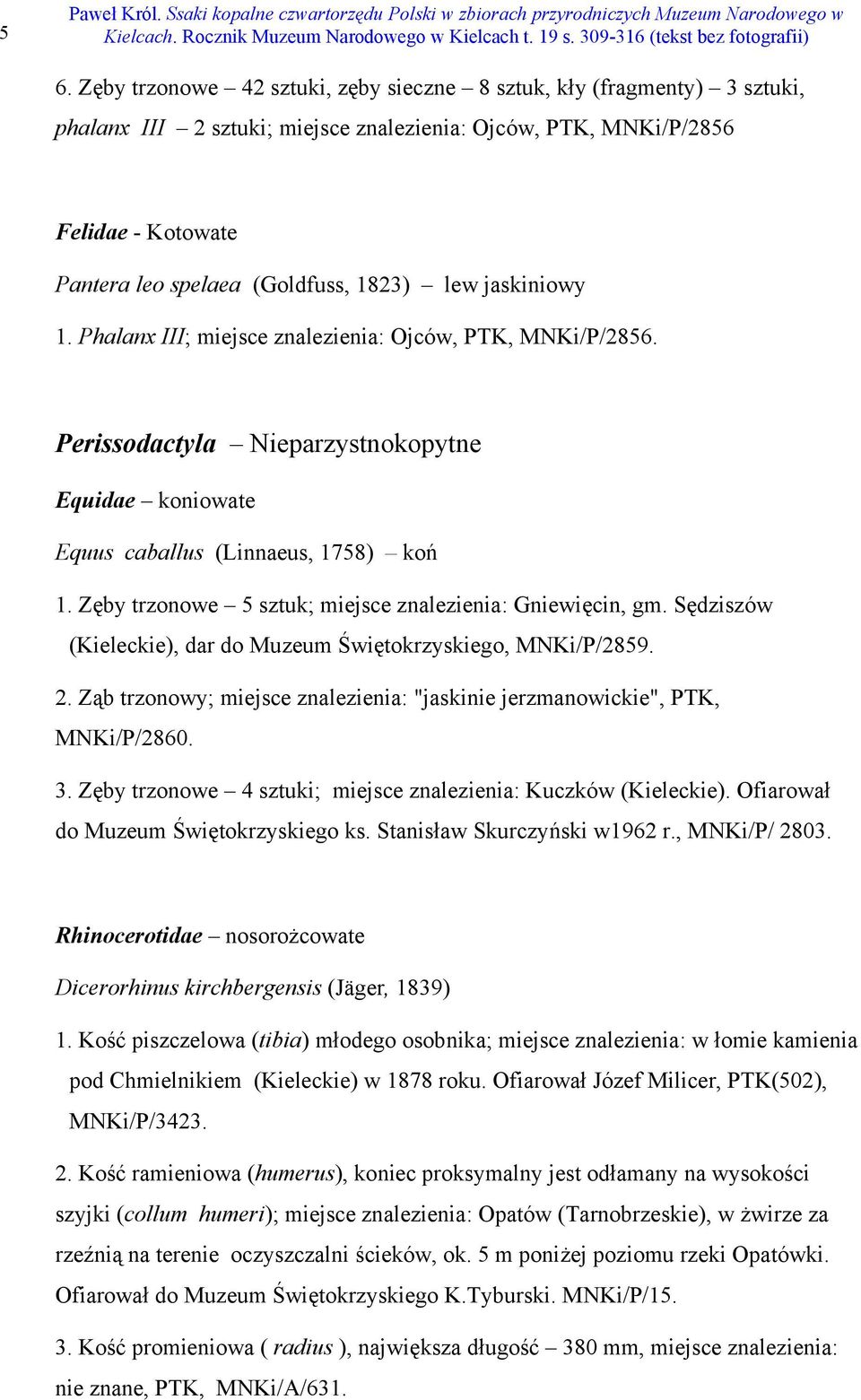 Zęby trzonowe 5 sztuk; miejsce znalezienia: Gniewięcin, gm. Sędziszów (Kieleckie), dar do Muzeum Świętokrzyskiego, MNKi/P/2859. 2.