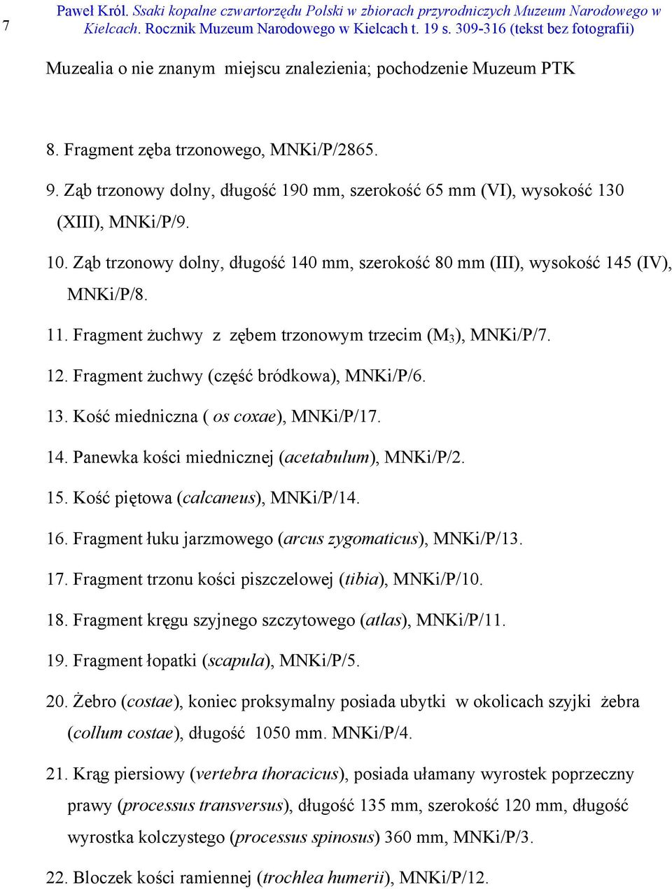 Fragment żuchwy z zębem trzonowym trzecim (M 3 ), MNKi/P/7. 12. Fragment żuchwy (część bródkowa), MNKi/P/6. 13. Kość miedniczna ( os coxae), MNKi/P/17. 14.