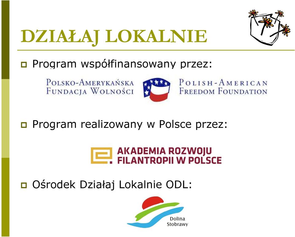 Program realizowany w Polsce