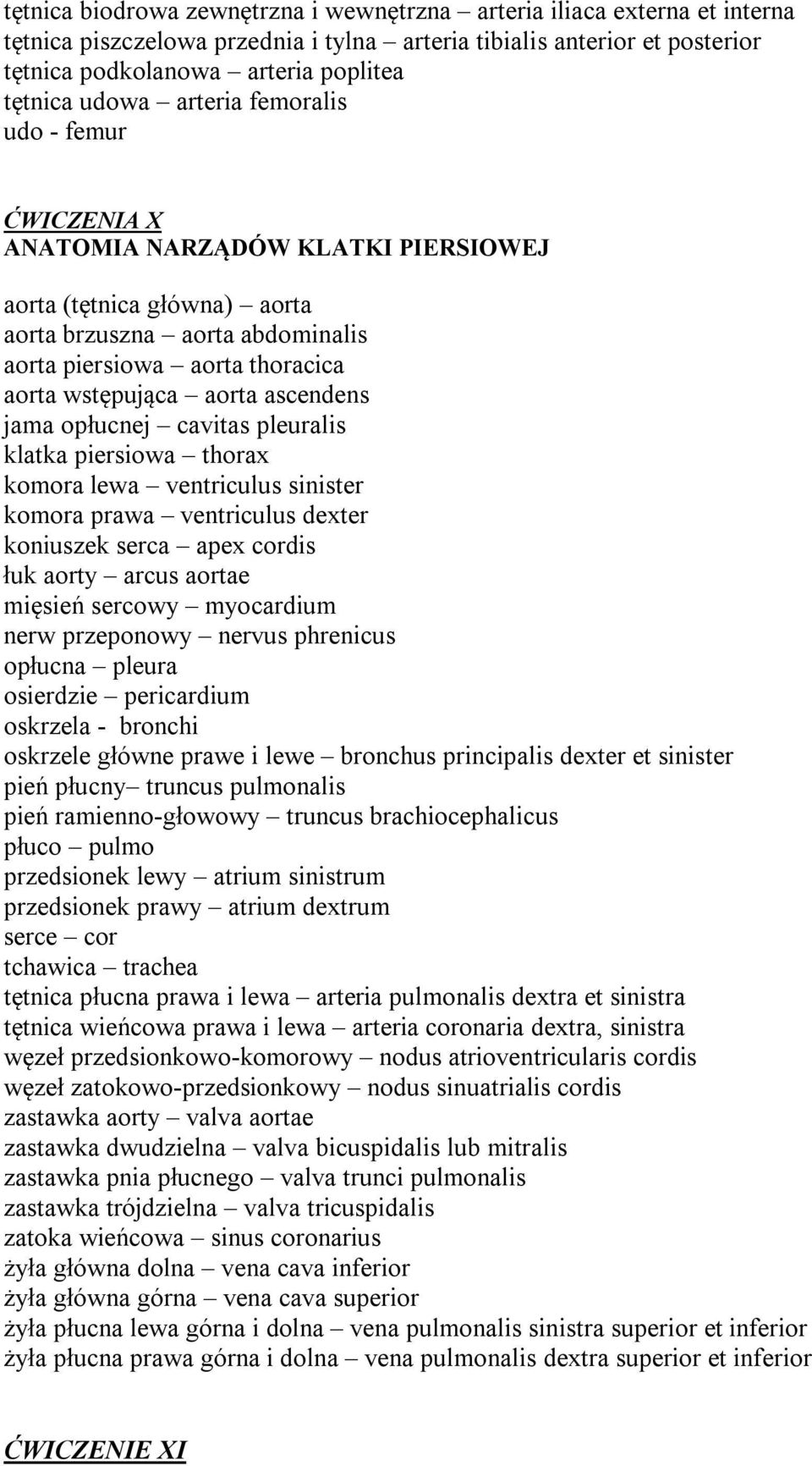 aorta ascendens jama opłucnej cavitas pleuralis klatka piersiowa thorax komora lewa ventriculus sinister komora prawa ventriculus dexter koniuszek serca apex cordis łuk aorty arcus aortae mięsień