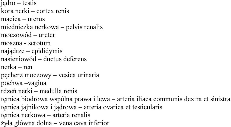 rdzeń nerki medulla renis tętnica biodrowa wspólna prawa i lewa arteria iliaca communis dextra et sinistra tętnica