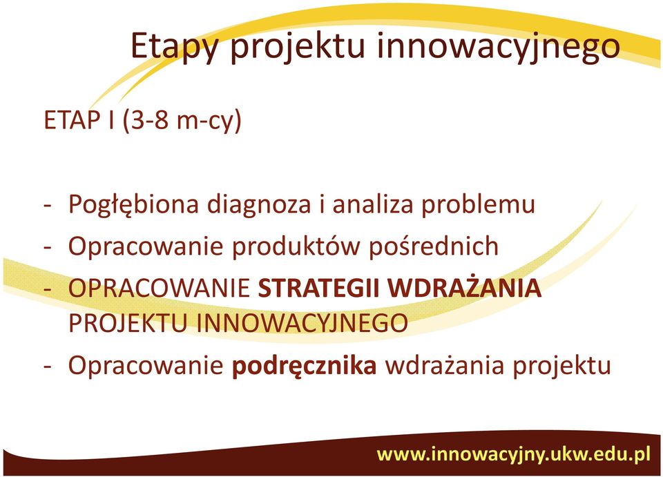 produktów pośrednich - OPRACOWANIE STRATEGII WDRAŻANIA