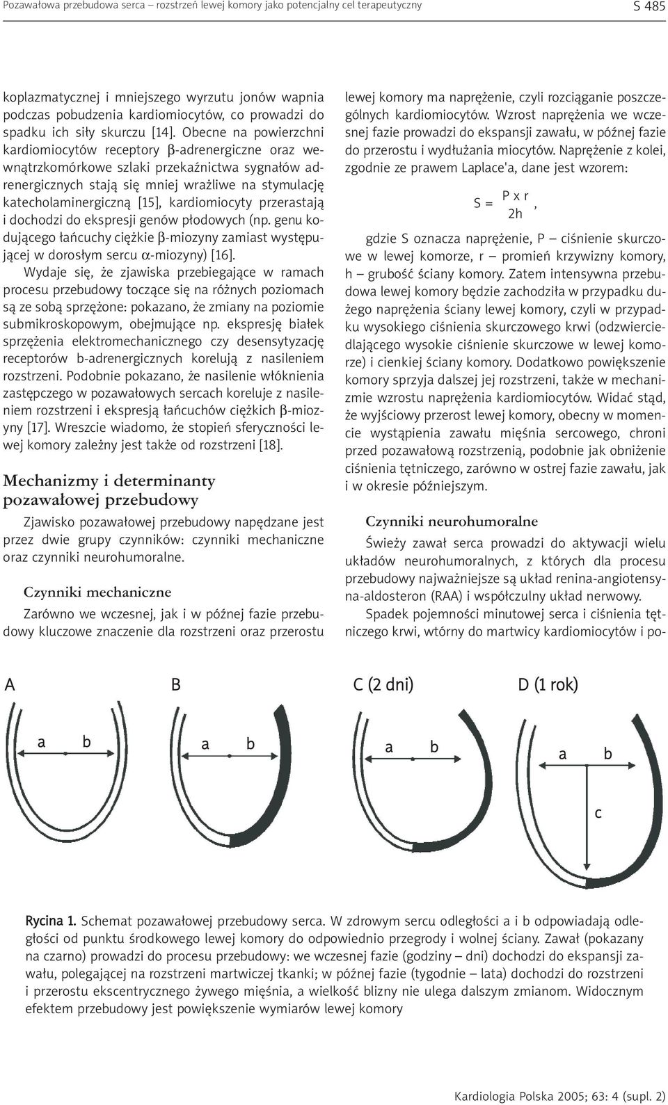 Obecne na powierzchni kardiomiocytów receptory β-adrenergiczne oraz wewn¹trzkomórkowe szlaki przekaÿnictwa sygna³ów adrenergicznych staj¹ siê mniej wra liwe na stymulacjê katecholaminergiczn¹ [15],