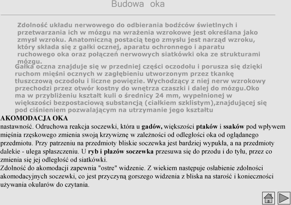 Gałka oczna znajduje się w przedniej części oczodołu i porusza się dzięki ruchom mięśni ocznych w zagłębieniu utworzonym przez tkankę tłuszczową oczodołu i liczne powięzie.