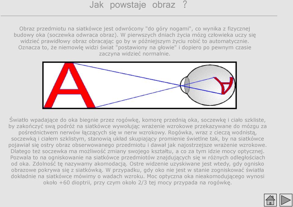 Oznacza to, że niemowlę widzi świat "postawiony na głowie" i dopiero po pewnym czasie zaczyna widzieć normalnie.