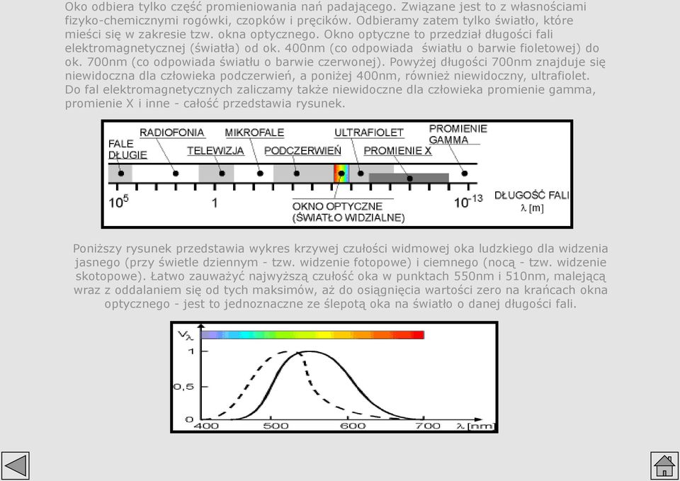 Powyżej długości 700nm znajduje się niewidoczna dla człowieka podczerwień, a poniżej 400nm, również niewidoczny, ultrafiolet.