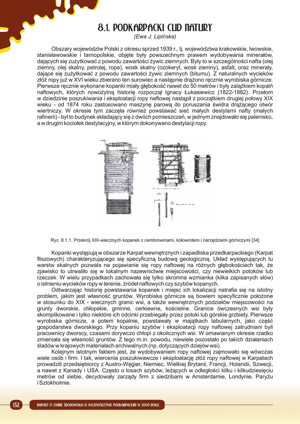 Były to w szczególności nafta (olej ziemny, olej skalny, petrolej, ropa), wosk skalny (ozokeryt, wosk ziemny), asfalt, oraz minerały, dające się zużytkować z powodu zawartości żywic ziemnych (bitumu).