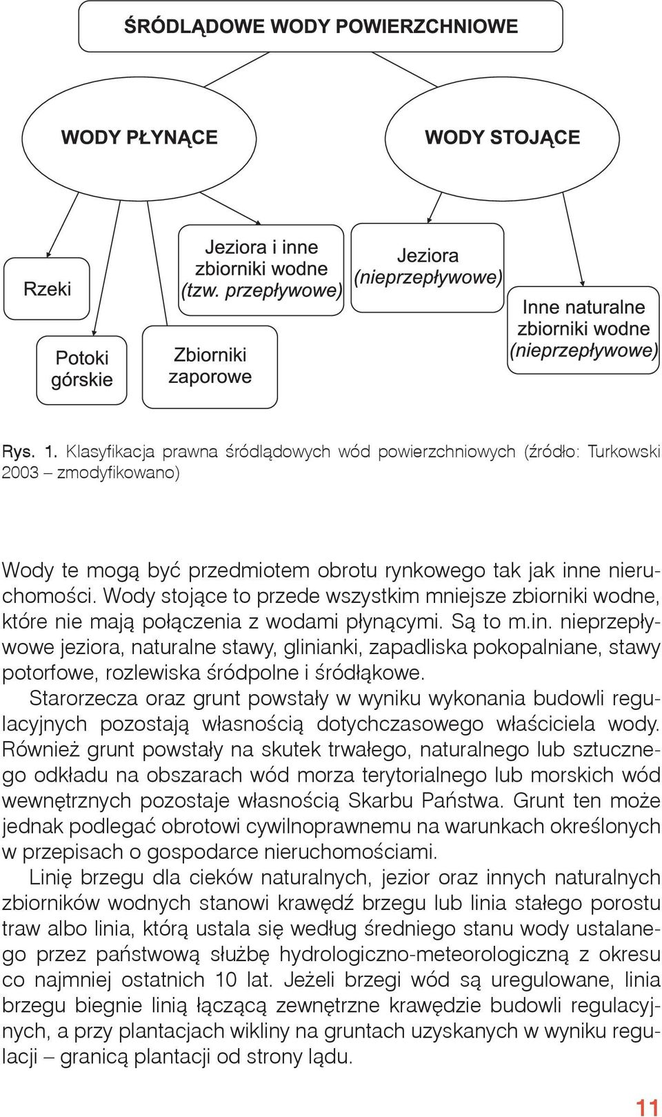 nieprzepływowe jeziora, naturalne stawy, glinianki, zapadliska pokopalniane, stawy potorfowe, rozlewiska śródpolne i śródłąkowe.