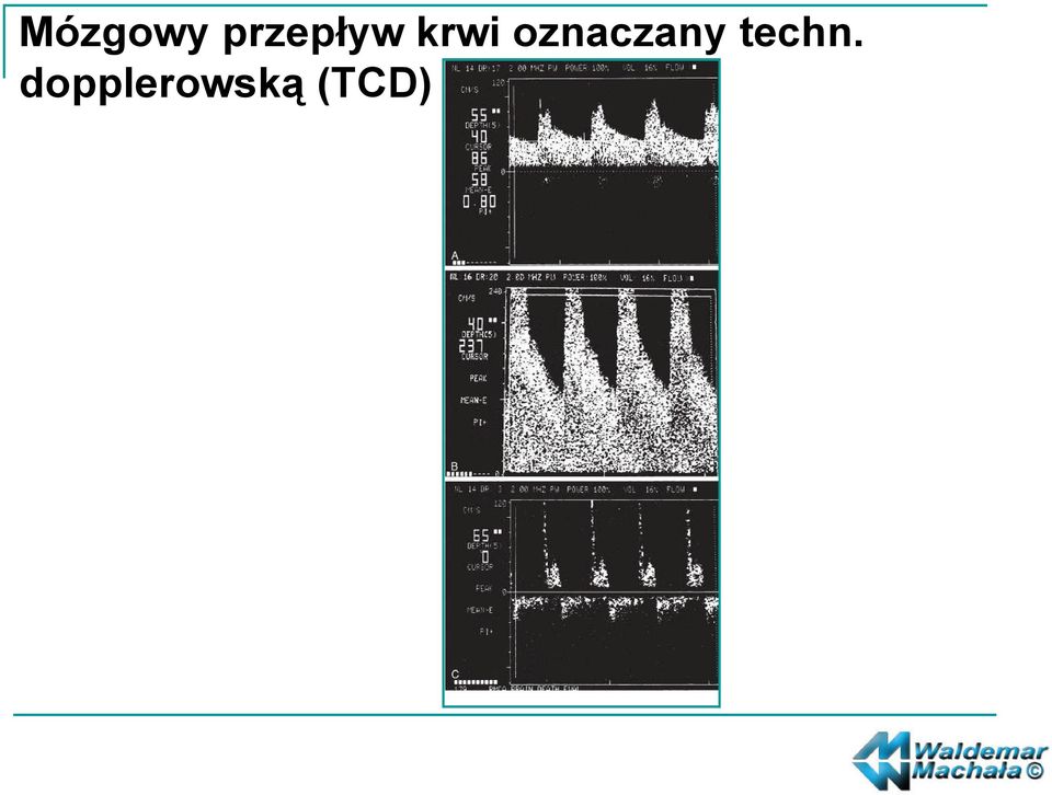 oznaczany