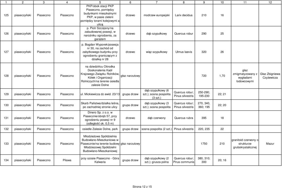 Piotr Szczęsny/na zabudowanej posesji, w naroŝniku ogrodzenia, za garaŝem drzewo dąb szypułkowy Quercus robur 290 25 127 piaseczyński Piaseczno Piaseczno p.