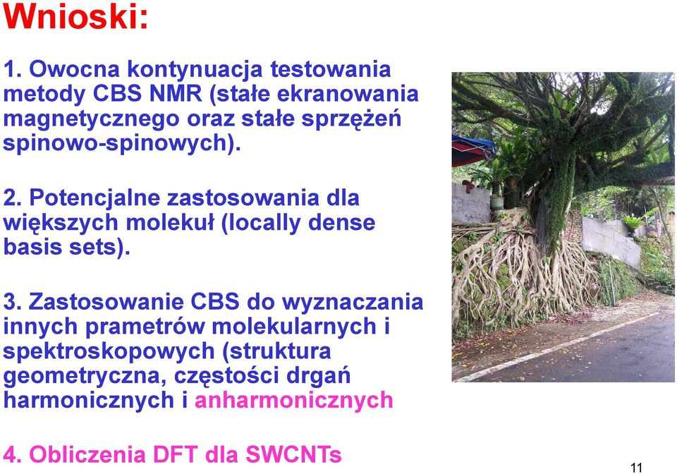 spinowo-spinowych). 2. Potencjalne zastosowania dla większych molekuł (locally dense basis sets). 3.