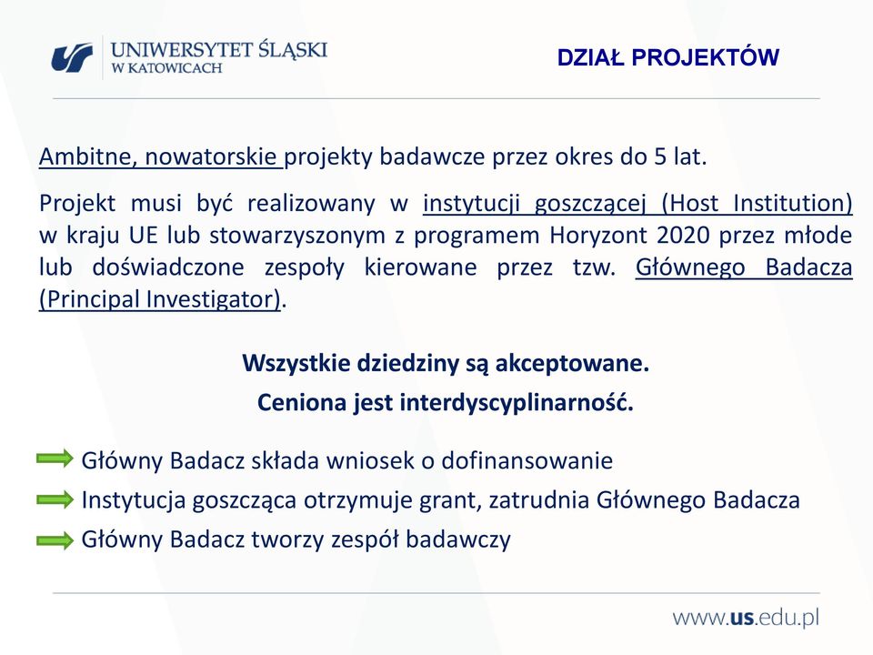 przez młode lub doświadczone zespoły kierowane przez tzw. Głównego Badacza (Principal Investigator).