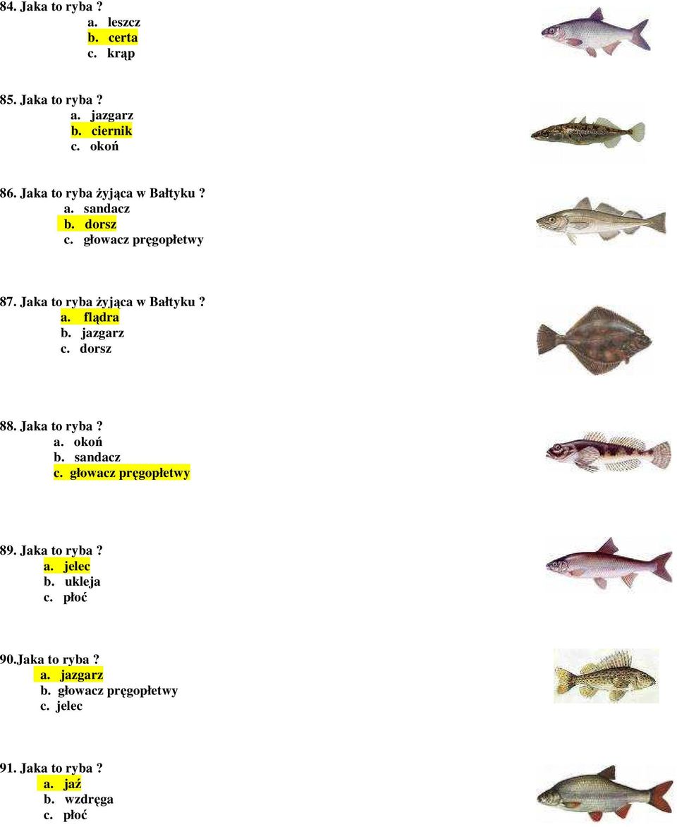 jazgarz c. dorsz 88. Jaka to ryba? a. okoń b. sandacz c. głowacz pręgopłetwy 89. Jaka to ryba? a. jelec b.
