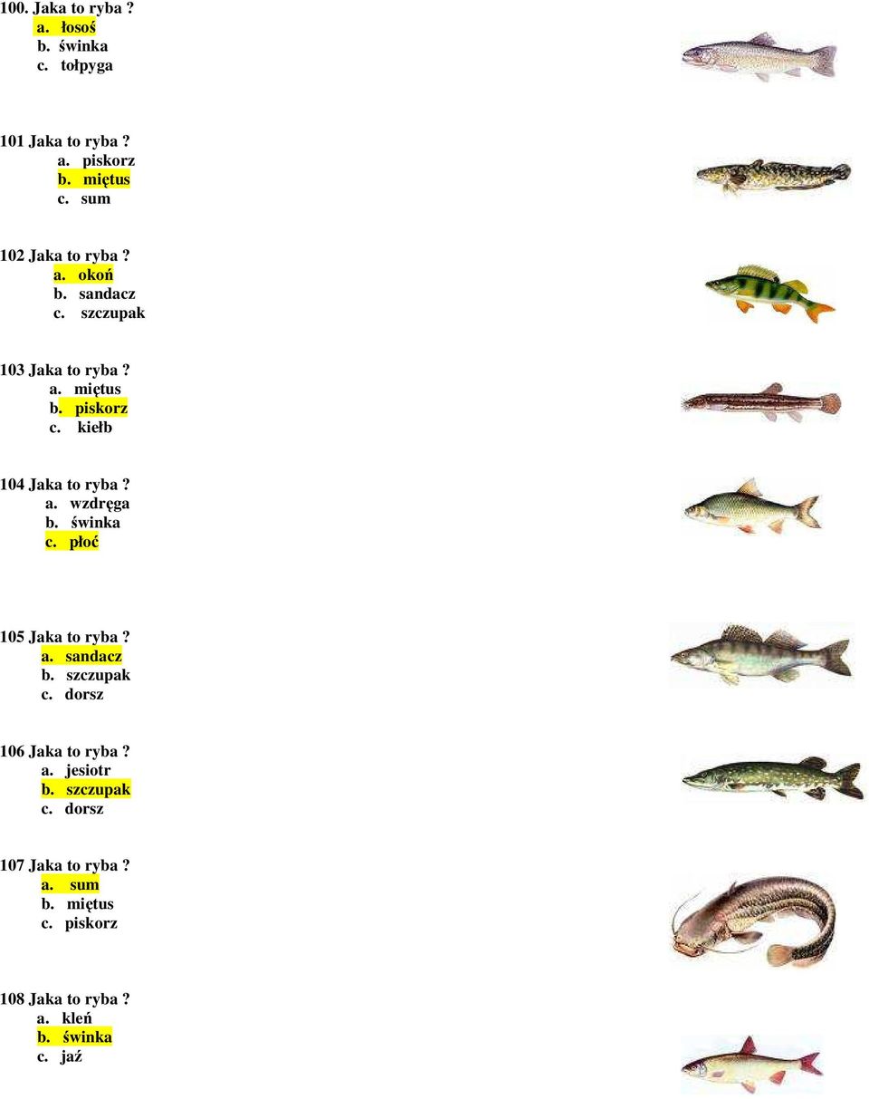 kiełb 104 Jaka to ryba? a. wzdręga b. świnka c. płoć 105 Jaka to ryba? a. sandacz b. szczupak c.