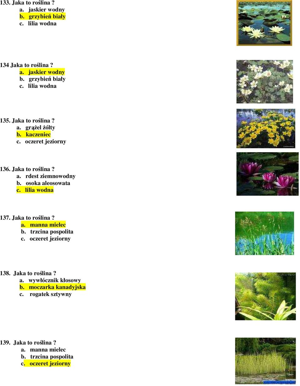 lilia wodna 137. Jaka to roślina? a. manna mielec b. trzcina pospolita c. oczeret jeziorny 138. Jaka to roślina? a. wywłócznik kłosowy b.