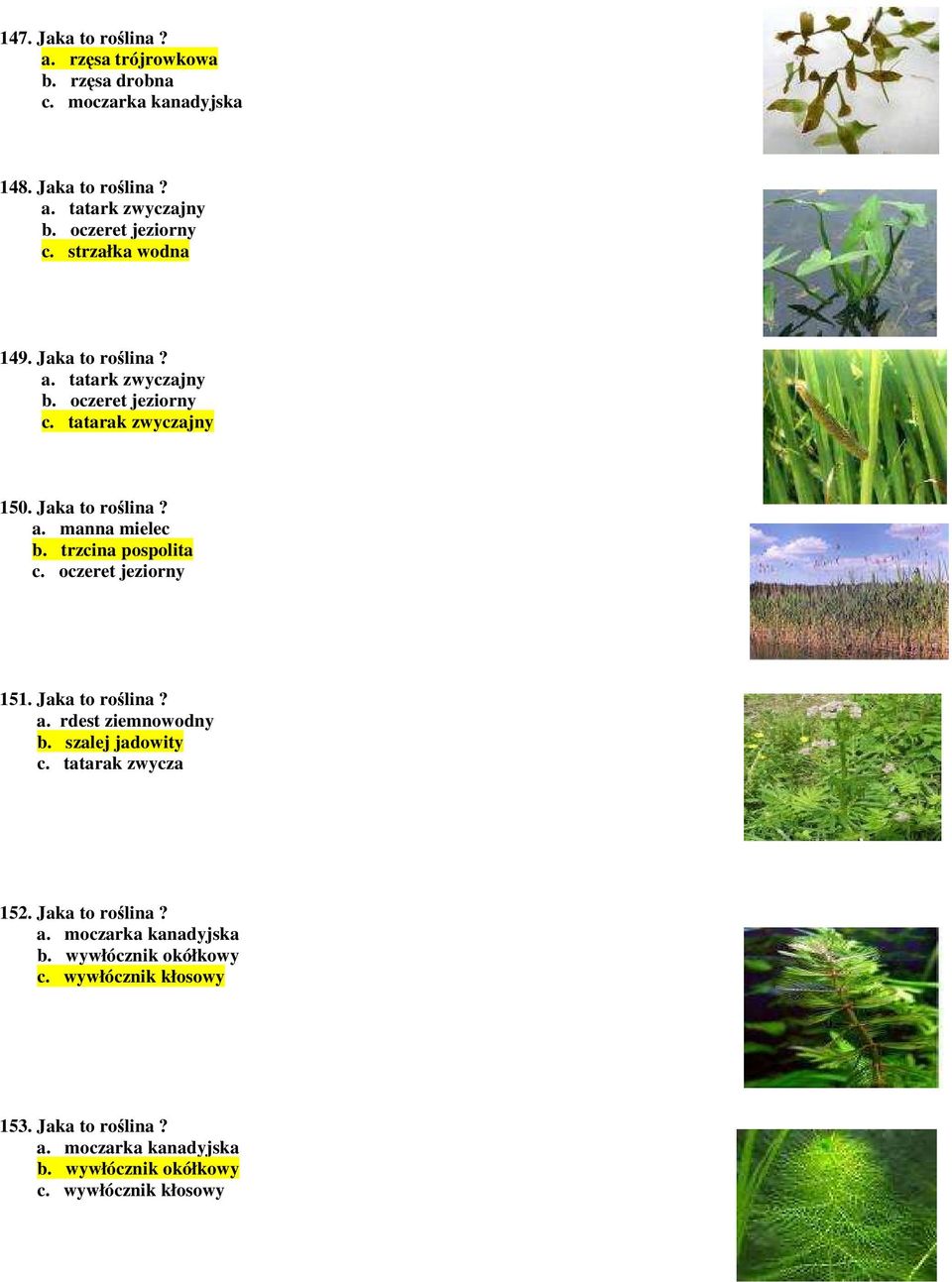 trzcina pospolita c. oczeret jeziorny 151. Jaka to roślina? a. rdest ziemnowodny b. szalej jadowity c. tatarak zwycza 152. Jaka to roślina? a. moczarka kanadyjska b.