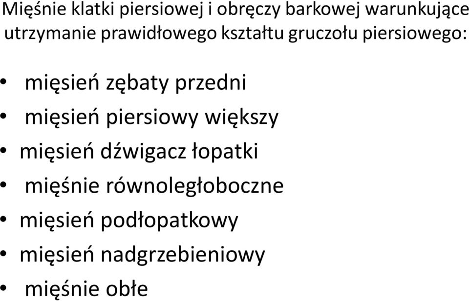 zębaty przedni mięsień piersiowy większy mięsień dźwigacz łopatki