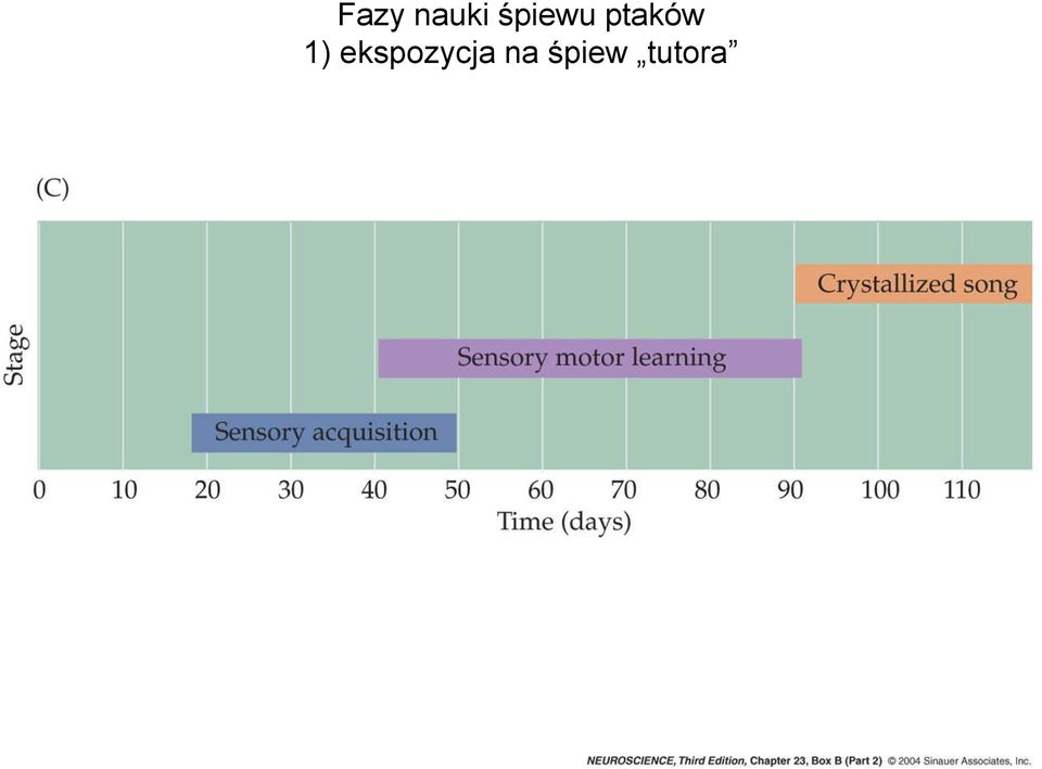 1) ekspozycja