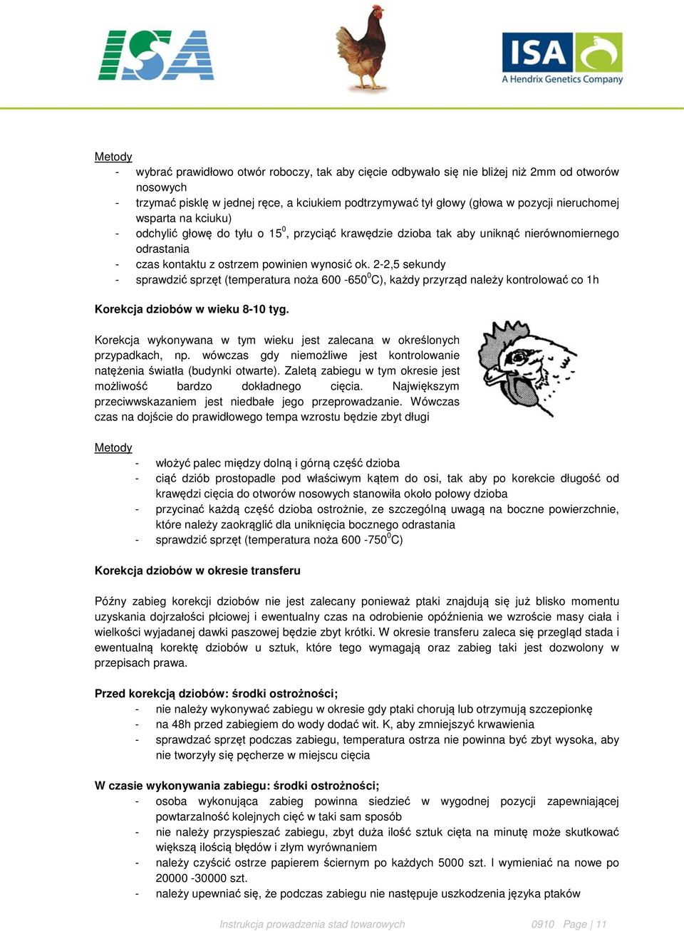 2-2,5 sekundy - sprawdzić sprzęt (temperatura noża 600-650 0 C), każdy przyrząd należy kontrolować co 1h Korekcja dziobów w wieku 8-10 tyg.