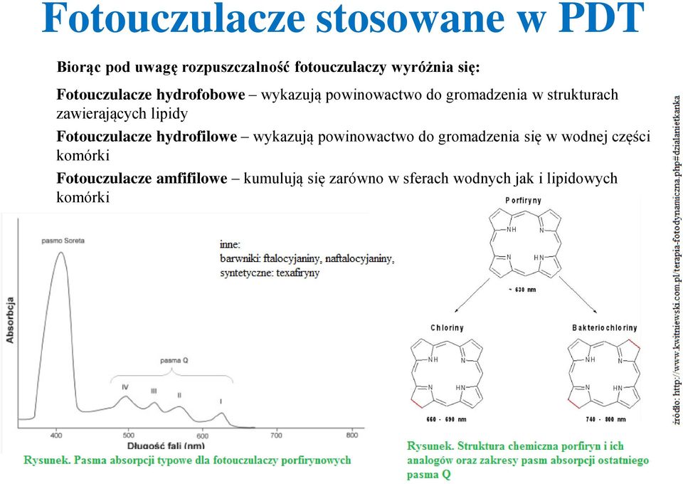 lipidy Fotouczulacze hydrofilowe wykazują powinowactwo do gromadzenia się w wodnej części