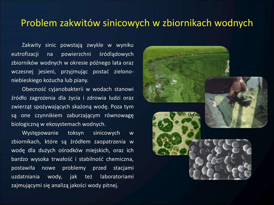 becność cyjanobakterii w wodach stanowi źródło zagrożenia dla życia i zdrowia ludzi oraz zwierząt spożywających skażoną wodę.