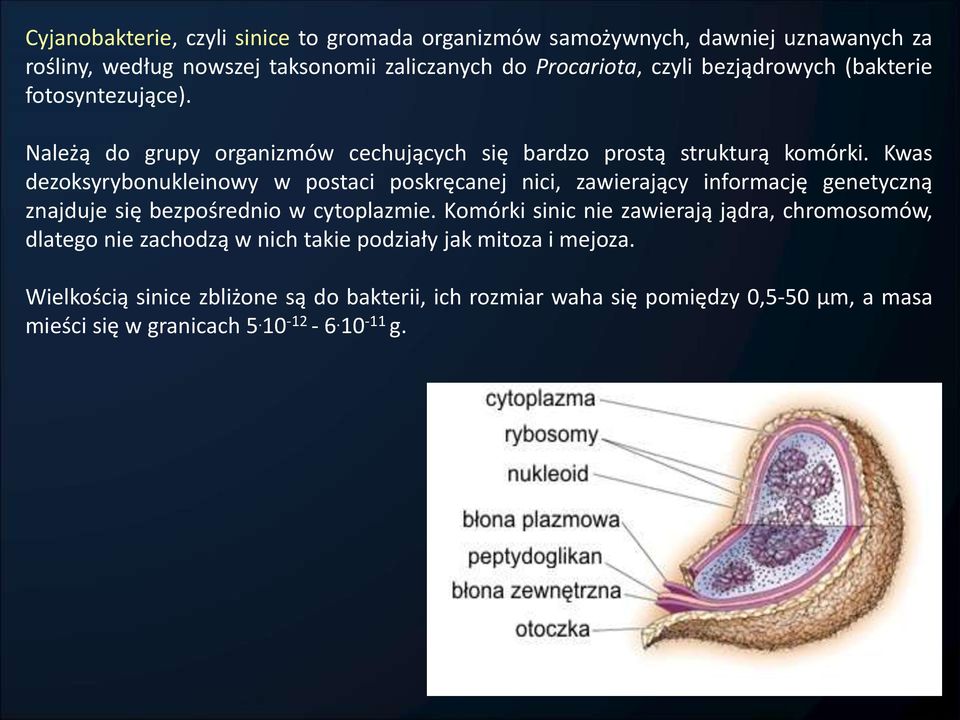 Kwas dezoksyrybonukleinowy w postaci poskręcanej nici, zawierający informację genetyczną znajduje się bezpośrednio w cytoplazmie.