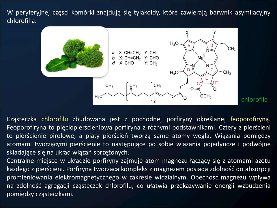 Wiązania pomiędzy atomami tworzącymi pierścienie to następujące po sobie wiązania pojedyncze i podwójne składające się na układ wiązań sprzężonych.