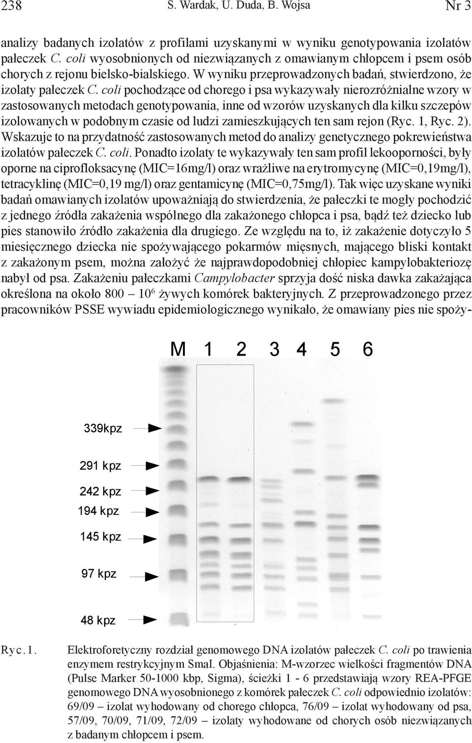 coli pochodzące od chorego i psa wykazywały nierozróżnialne wzory w zastosowanych metodach genotypowania, inne od wzorów uzyskanych dla kilku szczepów izolowanych w podobnym czasie od ludzi
