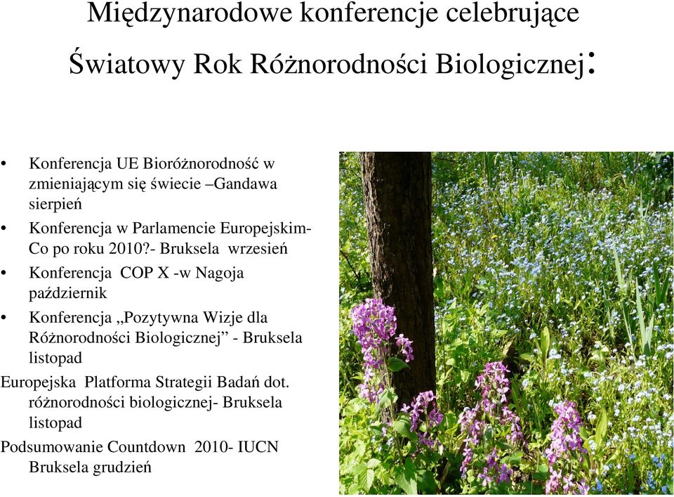 - Bruksela wrzesień Konferencja COP X -w Nagoja październik Konferencja Pozytywna Wizje dla Różnorodności Biologicznej -