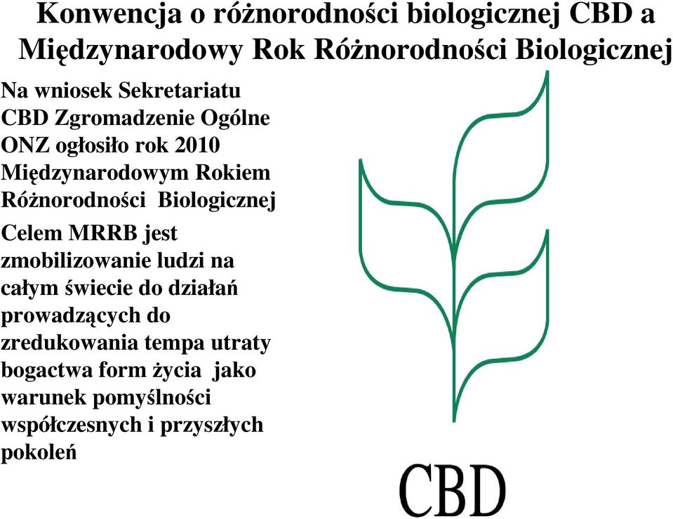 Różnorodności Biologicznej Celem MRRB jest zmobilizowanie ludzi na całym świecie do działań