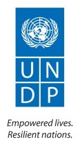 Środki uzyskane przez oferenta w ramach konkursu ogłoszonego przez UNDP będą stanowiły wkład własny finansowy do oferty składanej do UMŁ.