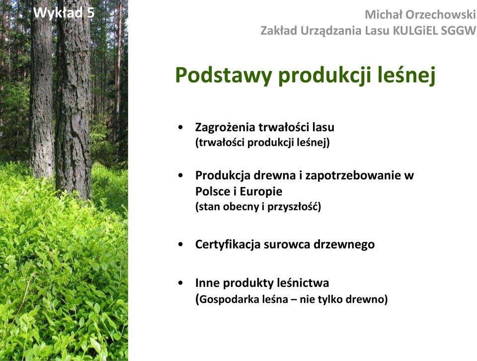 Produkcja drewna i zapotrzebowanie w Polsce i Europie (stan obecny i