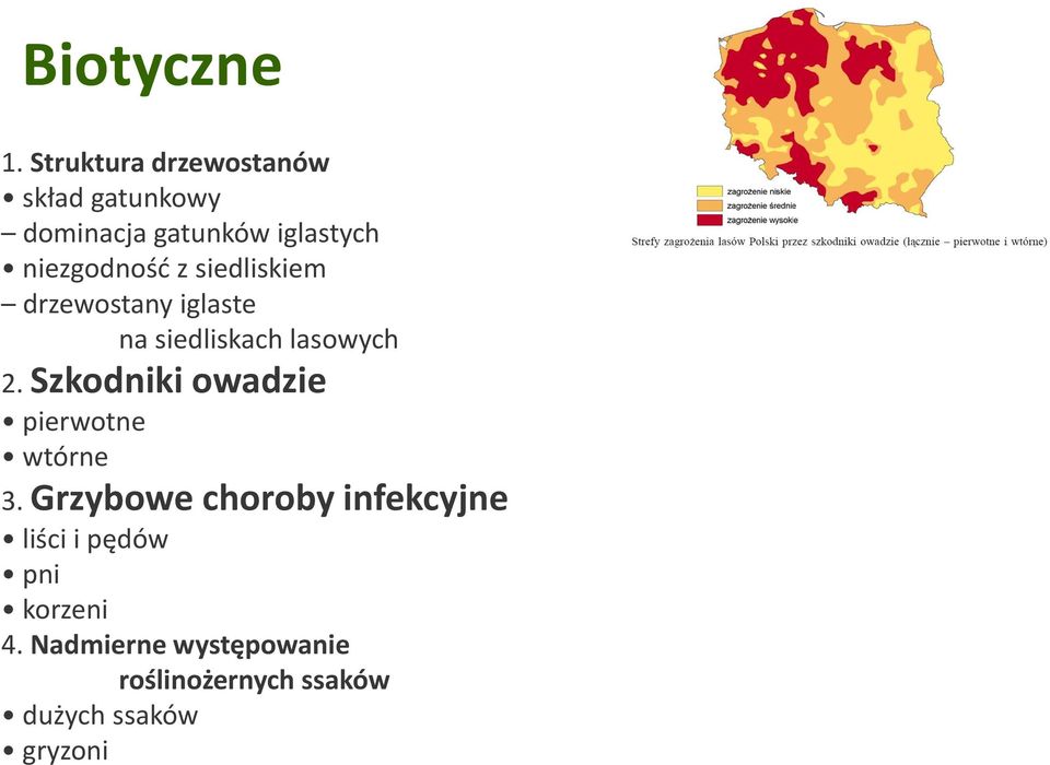 niezgodność z siedliskiem drzewostany iglaste na siedliskach lasowych 2.