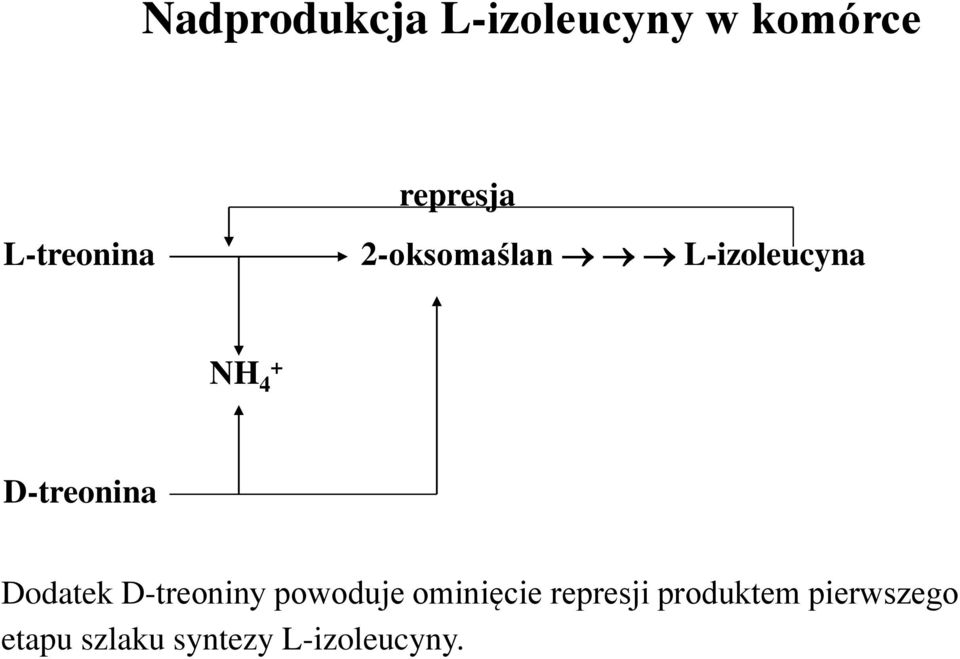 D-treonina Dodatek D-treoniny powoduje ominięcie