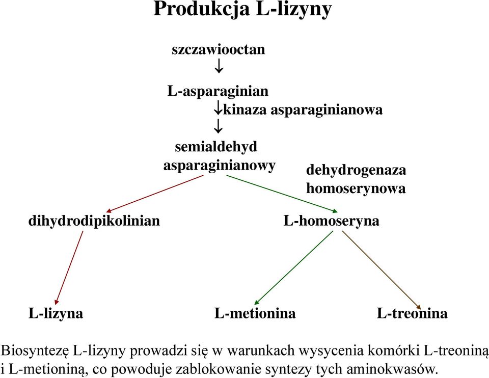 L-lizyna L-metionina L-treonina Biosyntezę L-lizyny prowadzi się w warunkach