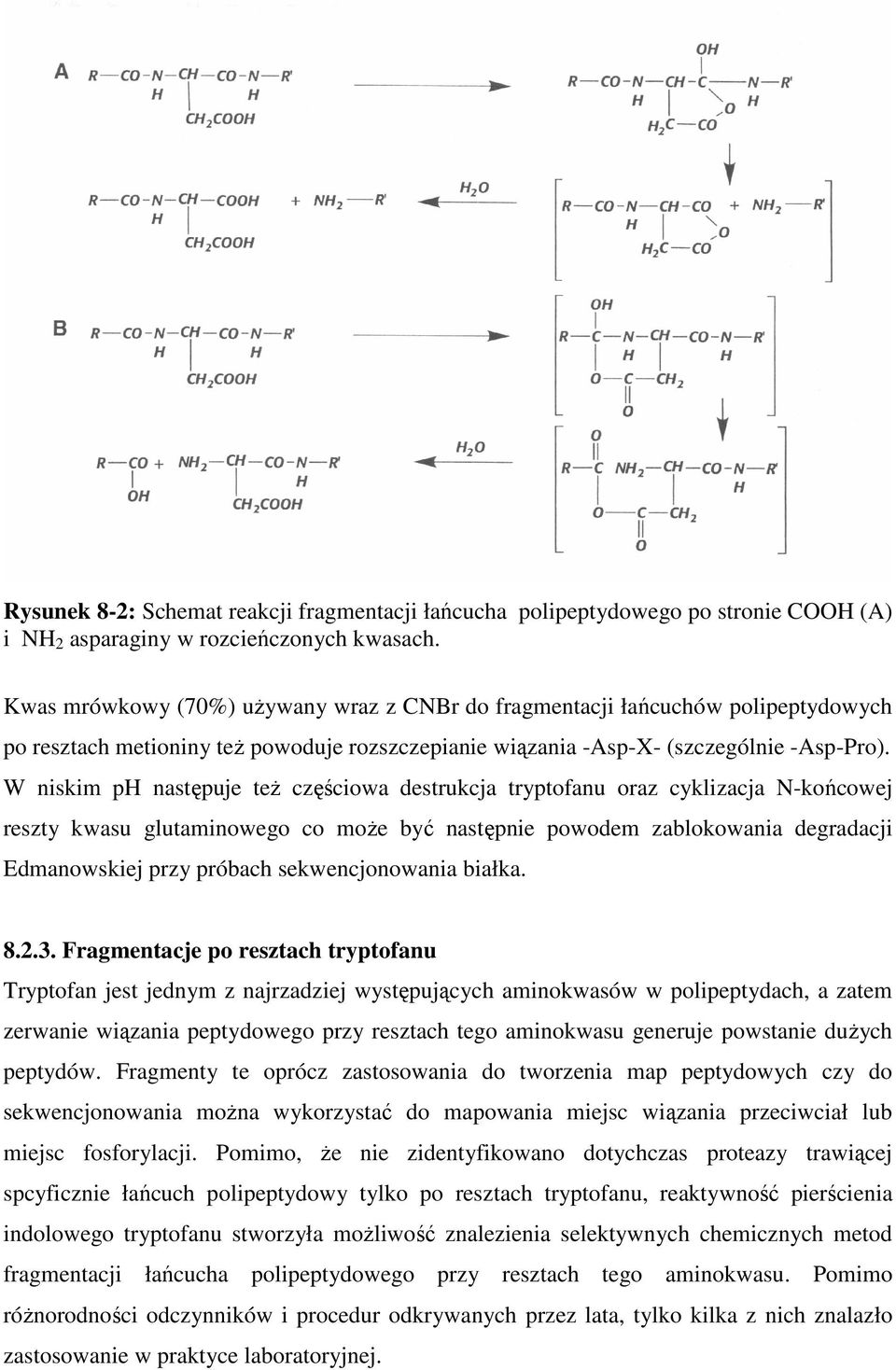 W niskim p następuje teŝ częściowa destrukcja tryptofanu oraz cyklizacja -końcowej reszty kwasu glutaminowego co moŝe być następnie powodem zablokowania degradacji Edmanowskiej przy próbach