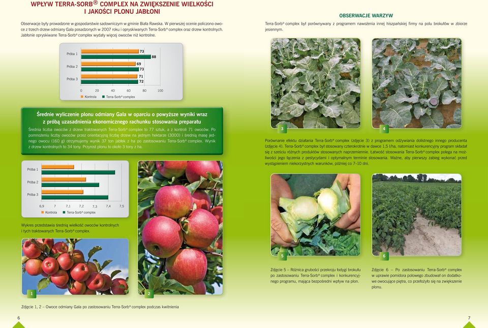 Jabłonie opryskiwane Terra-Sorb complex wydały więcej owoców niż kontrolne.