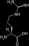 P Pro Prolina Q Gln Glutamina (Amid kwasu glutaminowego) hydrofobowy heterocykliczny 97,1167 6,30 hydrofilowy 128,1307 5,65 Może zakłócać takie struktury białka jak helisa alfa i harmonijka beta.