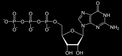 AMP Adenozynomonofosforan GTP guanozynotrifosforan Kwasy nukleinowe to biopolimery zbudowane z nukleotydów połączonych wiązaniami 3'-5' diestrowymi.