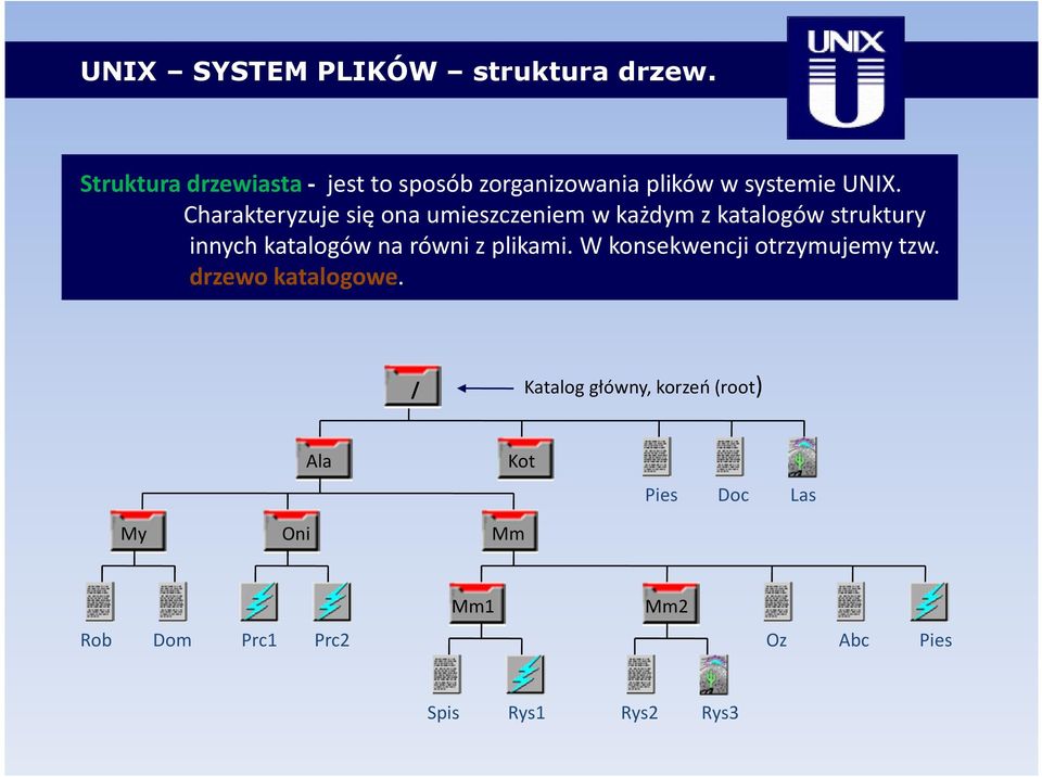 Charakteryzuje się ona umieszczeniem w każdym z katalogów struktury innych katalogów na równi z