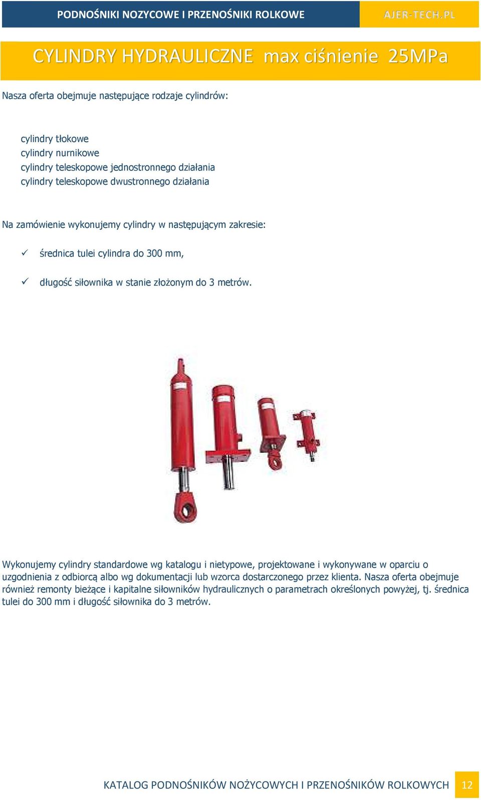 Wykonujemy cylindry standardowe wg katalogu i nietypowe, projektowane i wykonywane w oparciu o uzgodnienia z odbiorcą albo wg dokumentacji lub wzorca dostarczonego przez klienta.