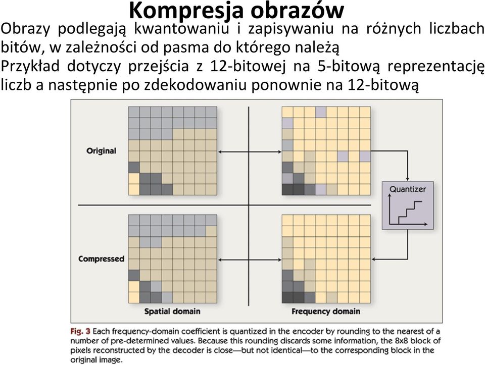 należą Przykład dotyczy przejścia z 12 bitowej na 5 bitową