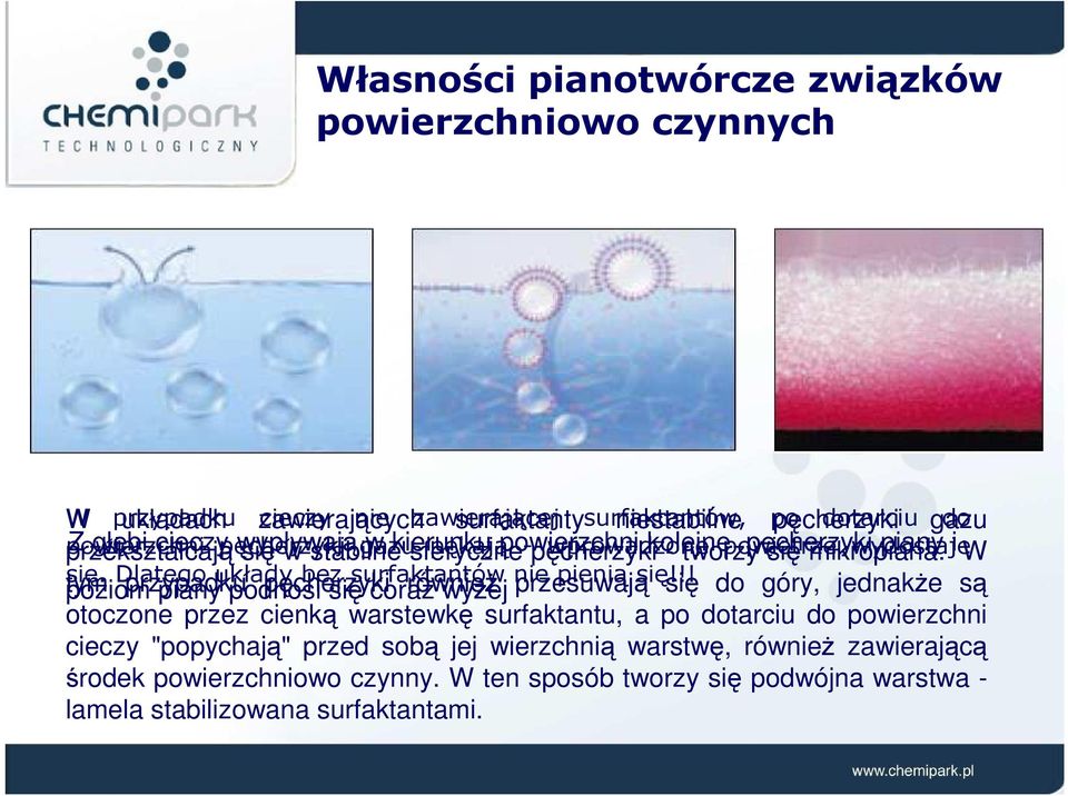 wydostaje piany i W tym się. Dlatego przypadku układy pęcherzyki bez surfaktantów równieŝ nie przesuwają pienią się!