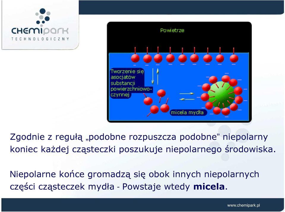 środowiska.