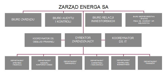 1.3. Ważniejsze zmiany w strukturze i organizacji Grupy Zmiany w zasadach zarządzania Grupą i Spółką ENERGA SA W zarządzaniu Grupą to ENERGA SA określa Segmenty oraz definiuje ich cele.