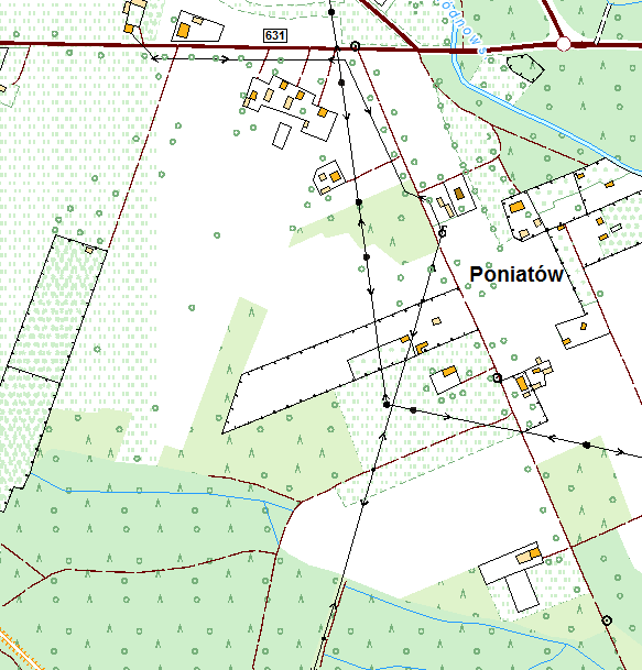 Strona7 II. SZCZEGÓŁOWY OPIS DRZEWA 1.