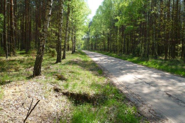 Wolniej, wolniej.... hamuj. To tutaj, Prosto, albo jak kto woli, na prawo. Uwaga. Bądź czujny, bo zaraz będziemy skręcać w drogę na lewo.