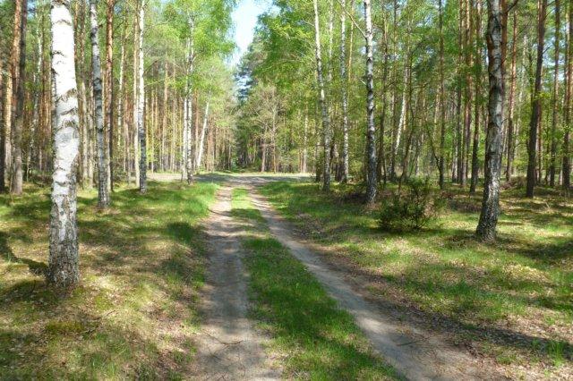 Śmiało. Jesteś na właściwej drodze. Ja ci to mówię.